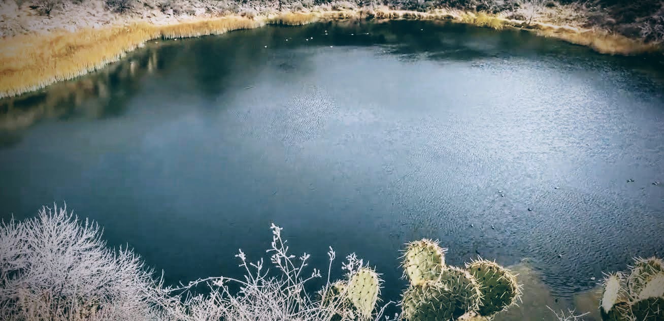 Expect the unexpected when you visit Montezuma Well near Sedona