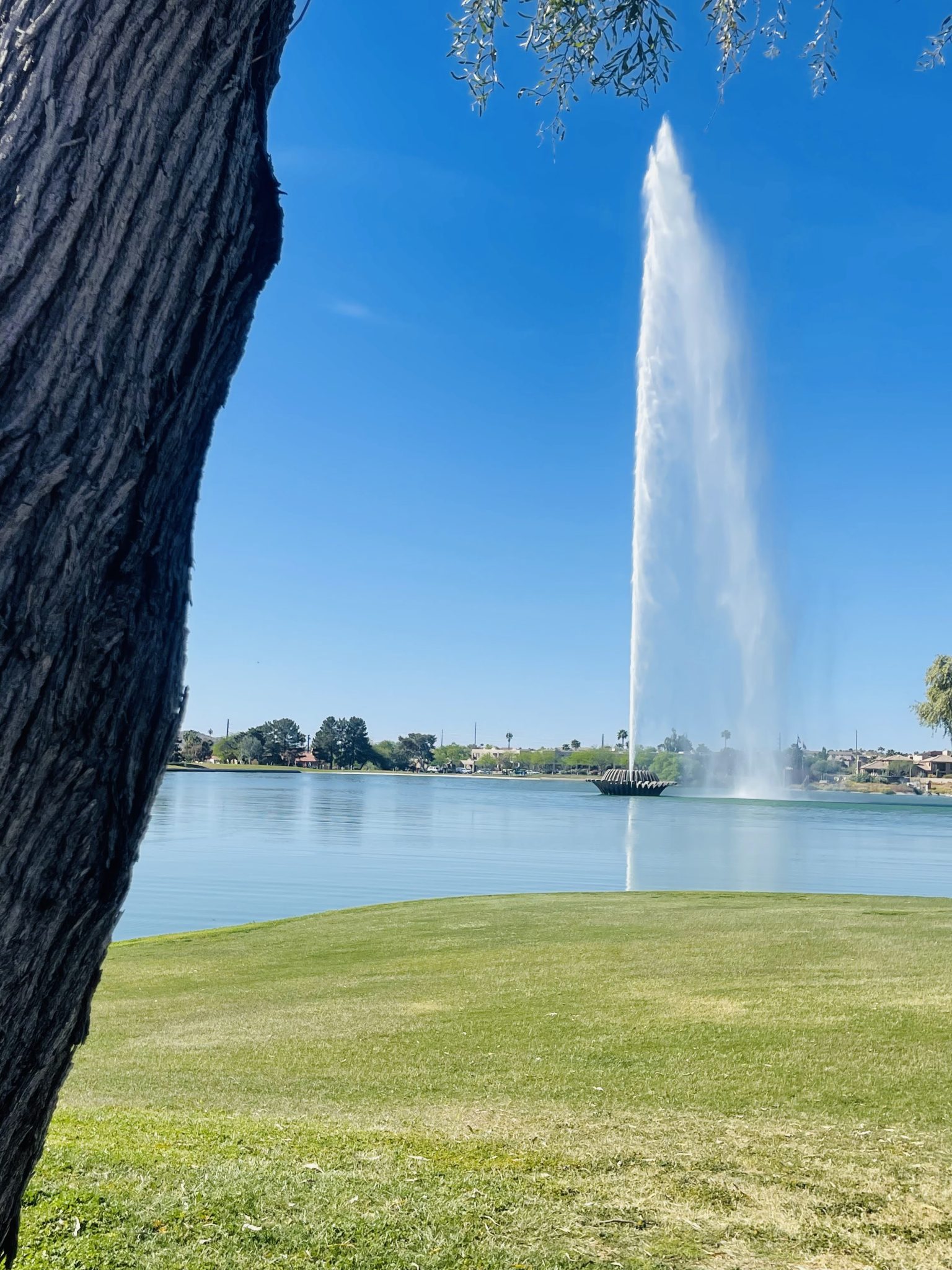 Fountain Hills Lake Overlook Trail leads you through a beautiful desert